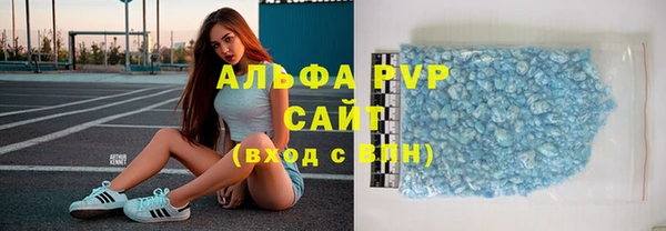 индика Майский