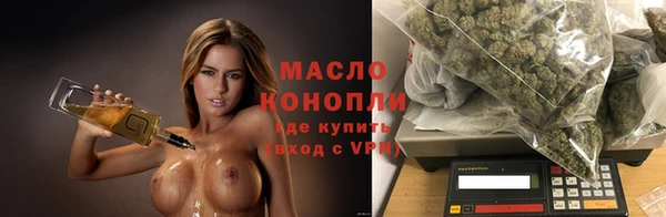 индика Майский