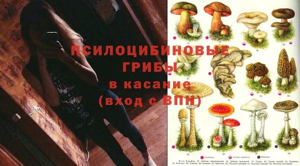 гашик Магадан