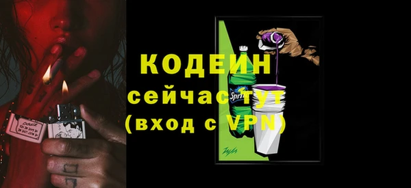 индика Майский