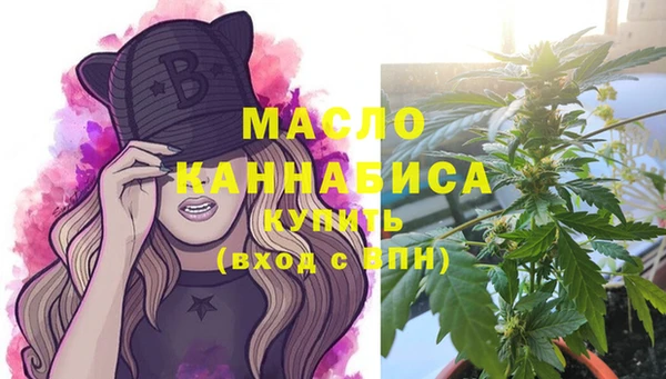 индика Майский