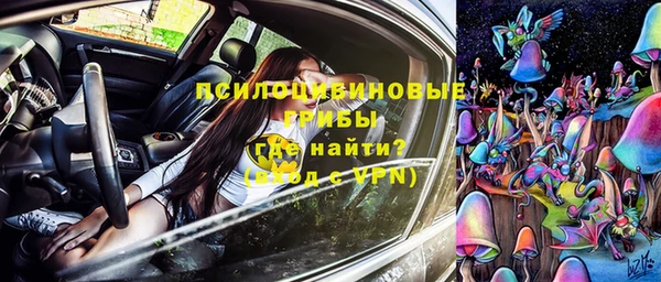 индика Майский