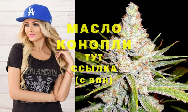 индика Майский