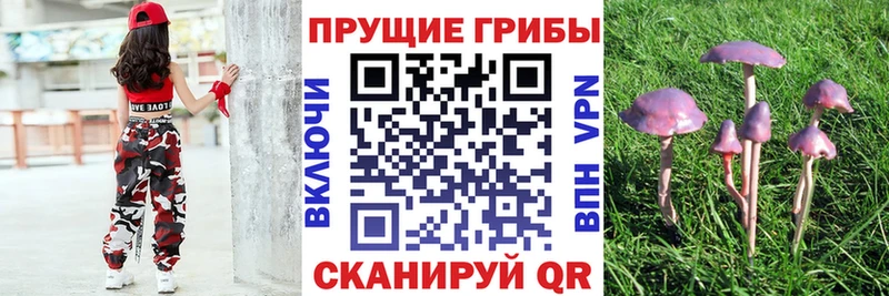 Галлюциногенные грибы прущие грибы  цены наркотик  Ухта 