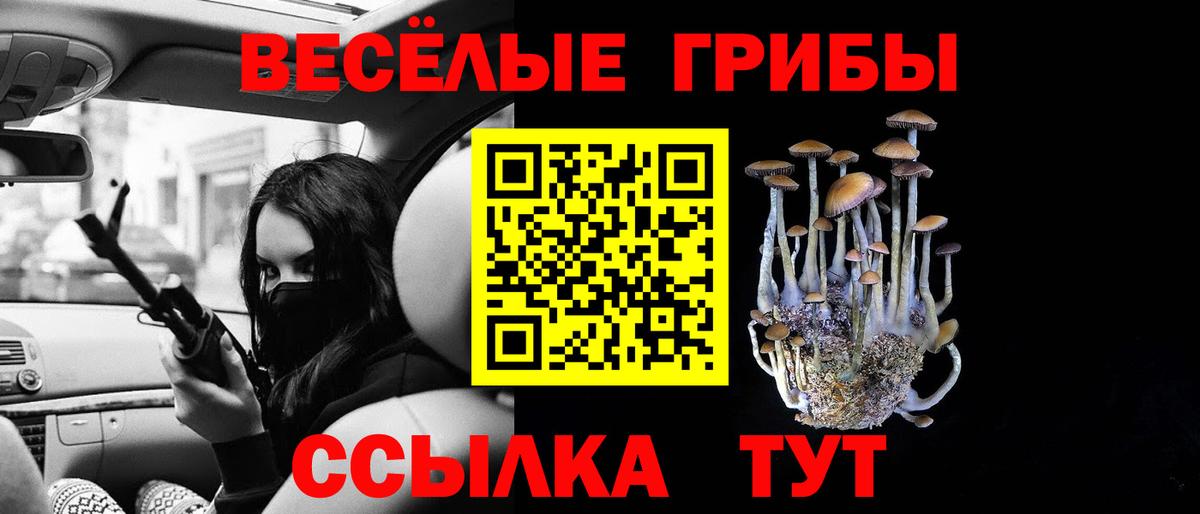 Ухта  Псилоцибиновые грибы мицелий  Вход с VPN  Псилоцибиновые грибы мицелий 